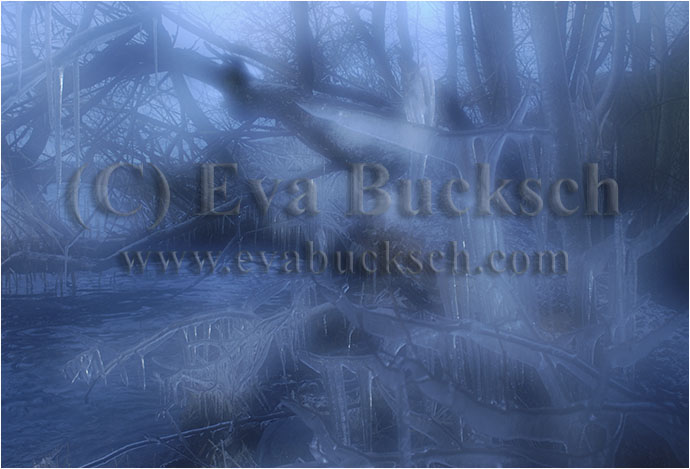 Vinterkungens slott - foto av Eva Bucksch